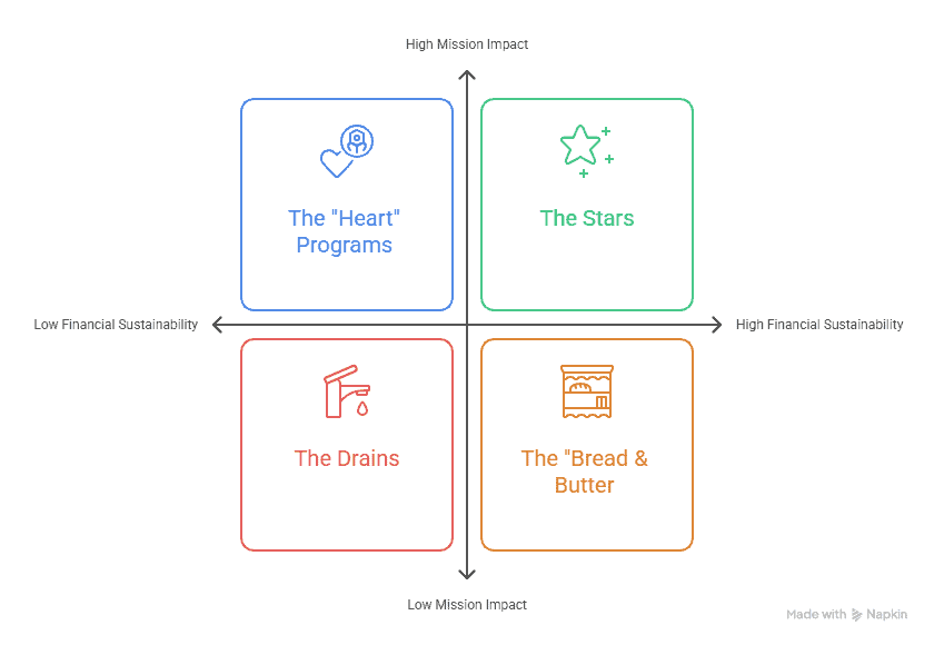 Matrix of mission impact and financial sustainability categories.